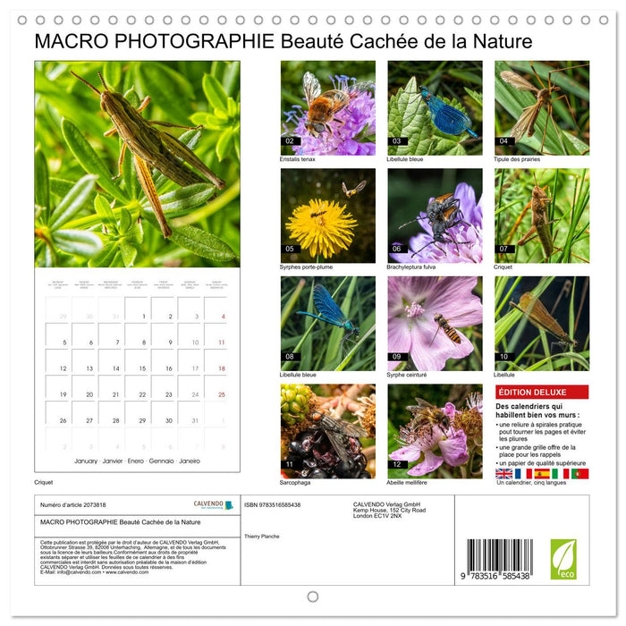 MACRO PHOTOGRAPHIE Beauté Cachée de la Nature (CALVENDO Calendrier mensuel 2026)