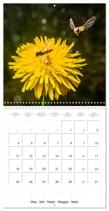 MACRO PHOTOGRAPHIE Beauté Cachée de la Nature (CALVENDO Calendrier mensuel 2026)