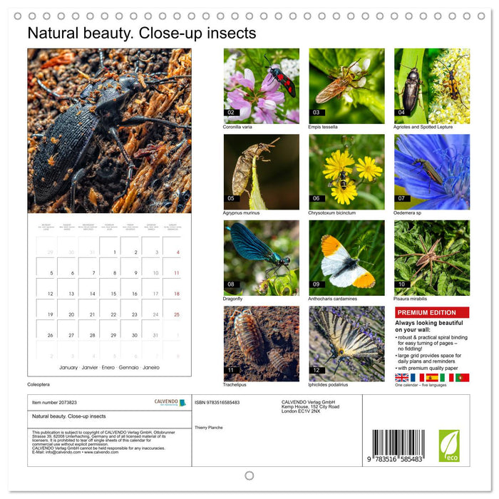 Natural beauty. Close-up insects (CALVENDO Monthly Calendar 2026)
