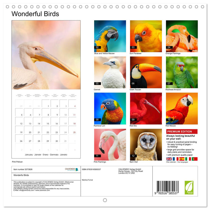 Wonderful Birds (CALVENDO Monthly Calendar 2026)