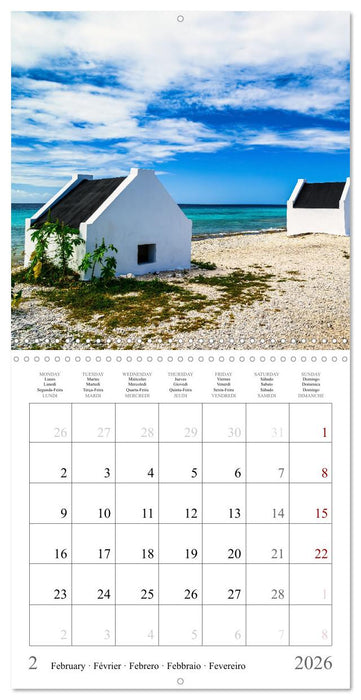 Dream destinations in the Caribbean (CALVENDO Monthly Calendar 2026)