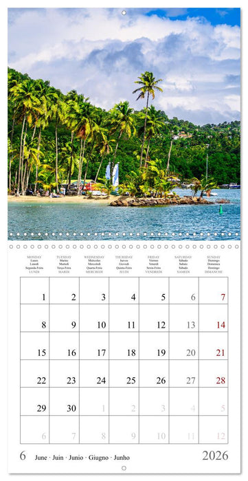 Dream destinations in the Caribbean (CALVENDO Monthly Calendar 2026)