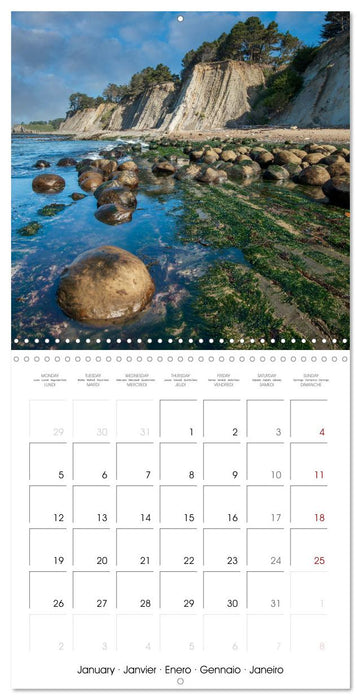 Dreaming California (CALVENDO Monthly Calendar 2026)