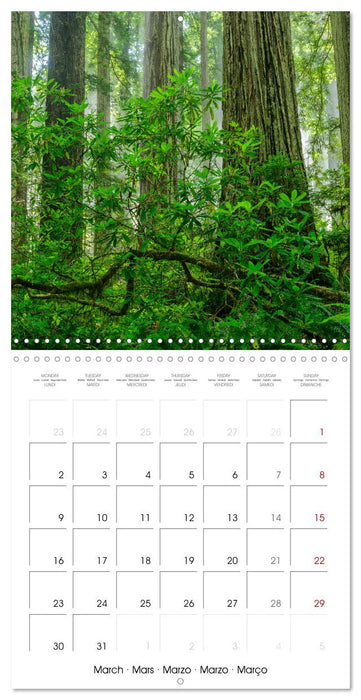 Dreaming California (CALVENDO Monthly Calendar 2026)