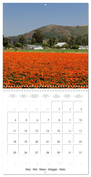 Dreaming California (CALVENDO Monthly Calendar 2026)