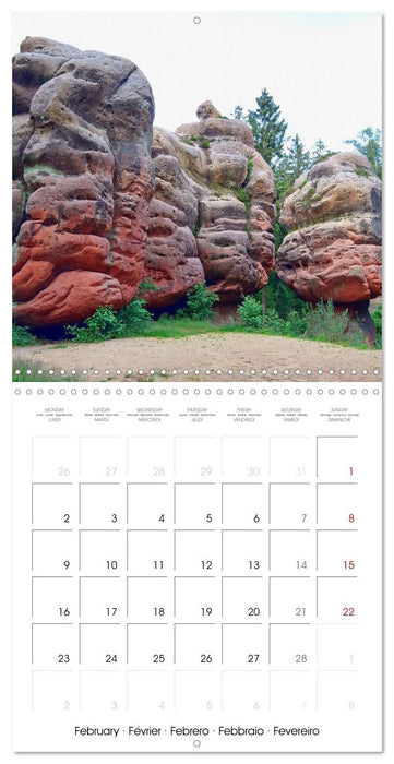 Saxony's rural idyll (CALVENDO Monthly Calendar 2026)