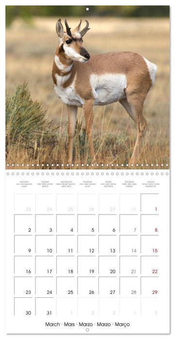 Teton National Park (CALVENDO Monthly Calendar 2026)