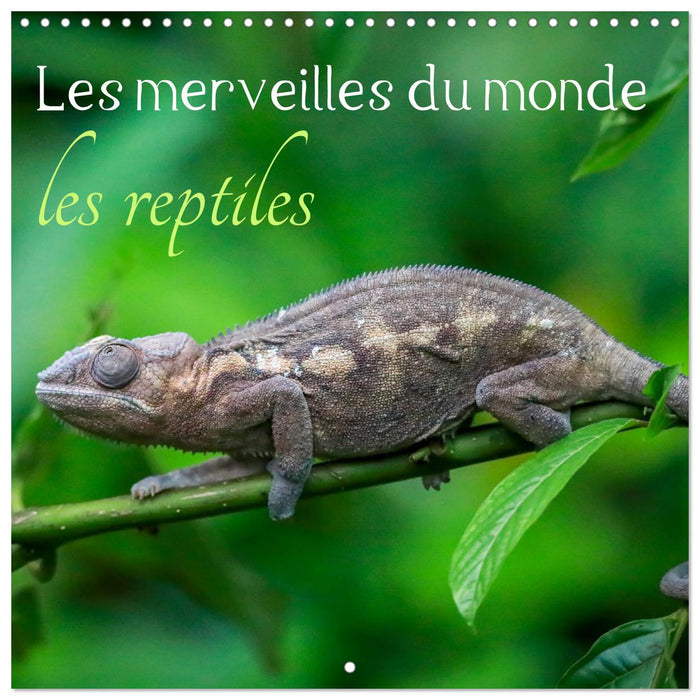 Les merveilles du monde les reptiles (CALVENDO Calendrier mensuel 2026)