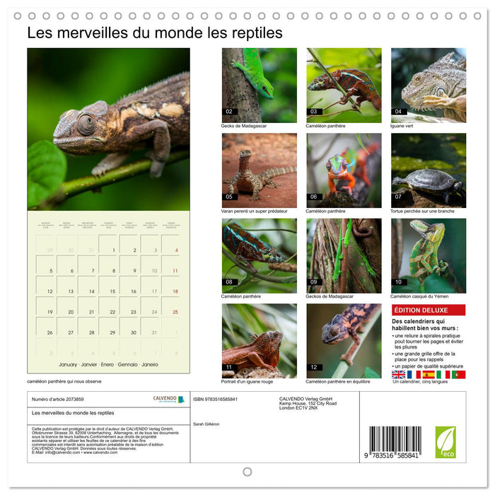 Les merveilles du monde les reptiles (CALVENDO Calendrier mensuel 2026)