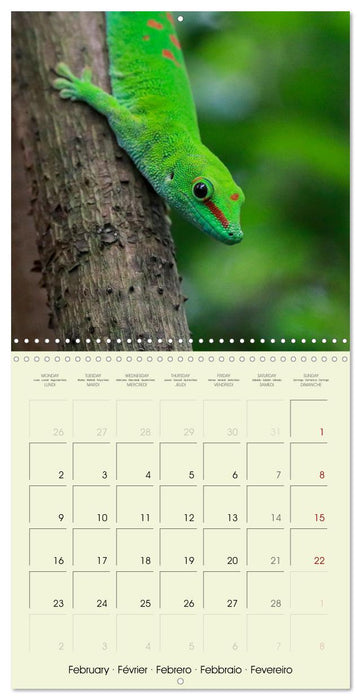 Les merveilles du monde les reptiles (CALVENDO Calendrier mensuel 2026)