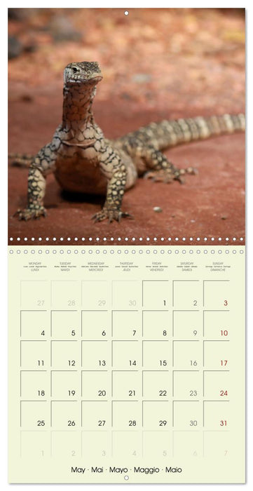 Les merveilles du monde les reptiles (CALVENDO Calendrier mensuel 2026)