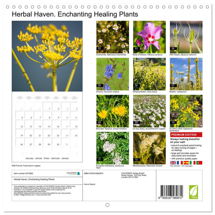 Herbal Haven. Enchanting Healing Plants (CALVENDO Monthly Calendar 2026)