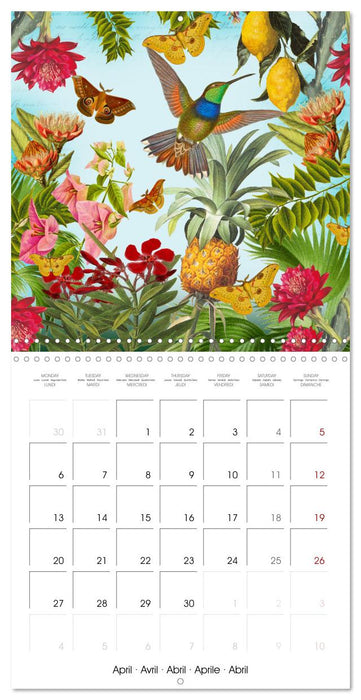 Lovely hummingbirds (CALVENDO Monthly Calendar 2026)