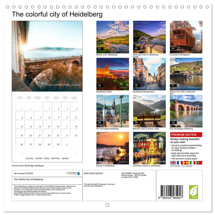 The colorful city of Heidelberg (CALVENDO Monthly Calendar 2026)