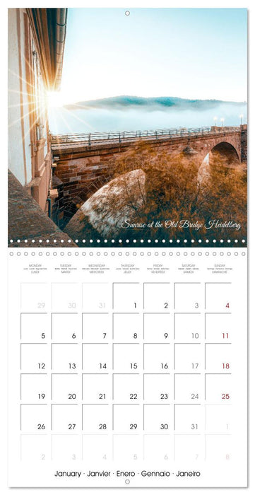 The colorful city of Heidelberg (CALVENDO Monthly Calendar 2026)