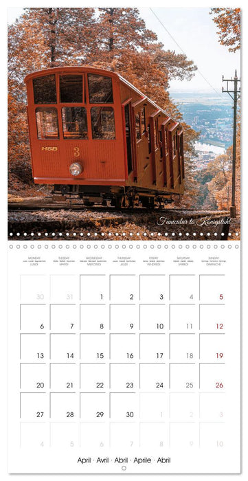 The colorful city of Heidelberg (CALVENDO Monthly Calendar 2026)