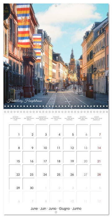 The colorful city of Heidelberg (CALVENDO Monthly Calendar 2026)