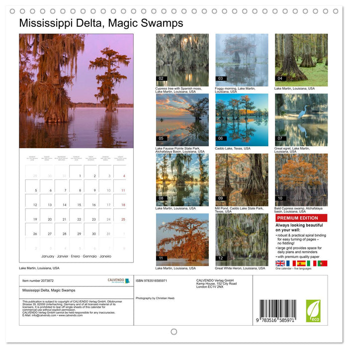 Mississippi Delta, Magic Swamps (CALVENDO Monthly Calendar 2026)