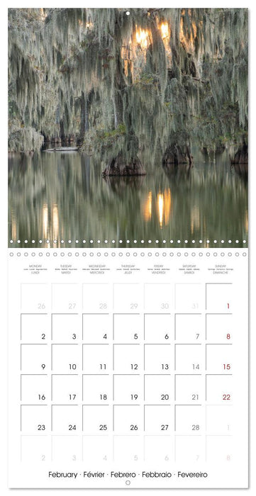 Mississippi Delta, Magic Swamps (CALVENDO Monthly Calendar 2026)
