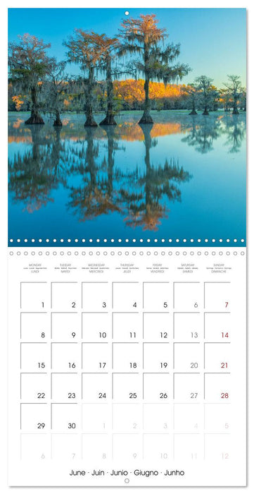 Mississippi Delta, Magic Swamps (CALVENDO Monthly Calendar 2026)