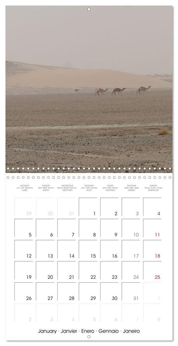 Desert - unknown exciting (CALVENDO Monthly Calendar 2026)