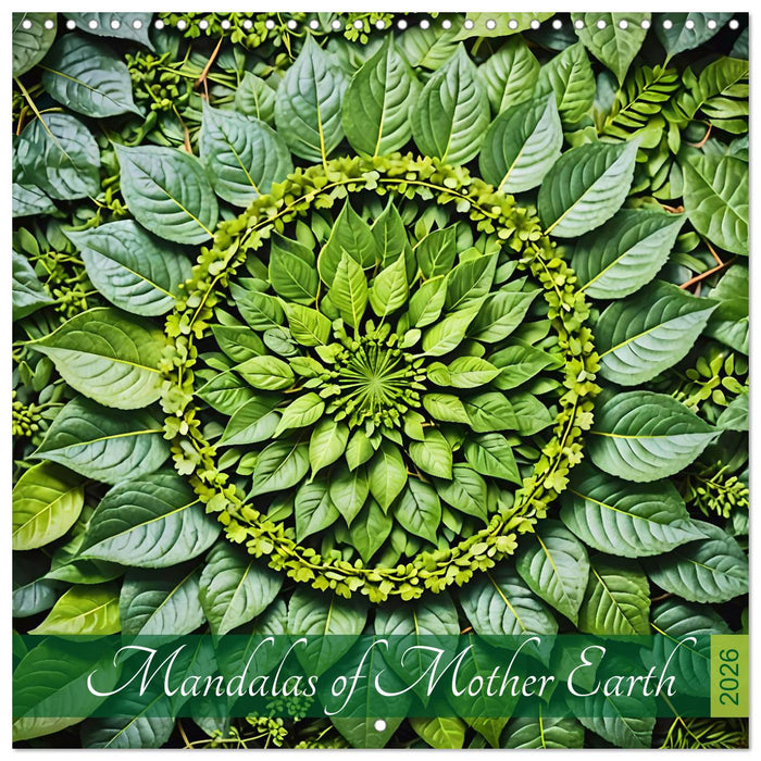 Mandalas of Mother Earth (CALVENDO Monthly Calendar 2026)