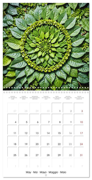 Mandalas of Mother Earth (CALVENDO Monthly Calendar 2026)