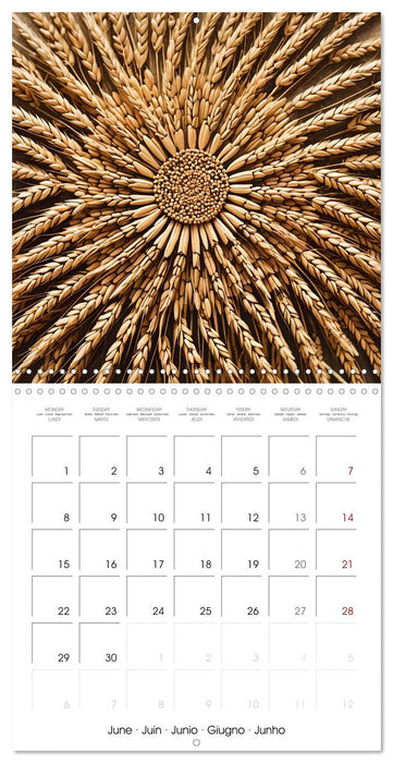 Mandalas of Mother Earth (CALVENDO Monthly Calendar 2026)