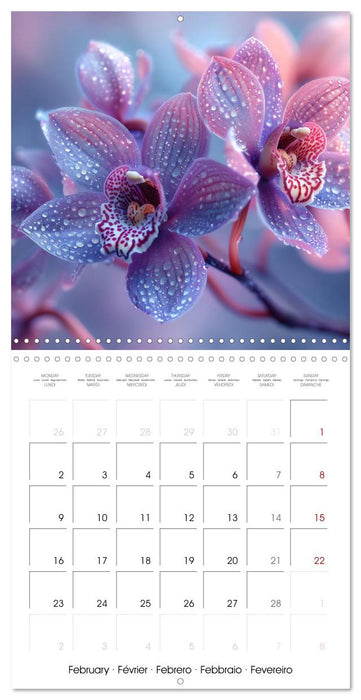 colorful orchid family planner (CALVENDO Monthly Calendar 2026)