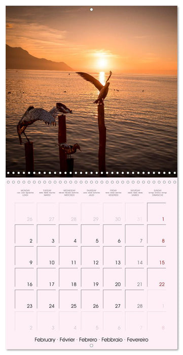 Evasion à Montreux (CALVENDO Calendrier mensuel 2026)