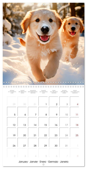 Cute PUPPY PERSONALITIES (CALVENDO Monthly Calendar 2026)