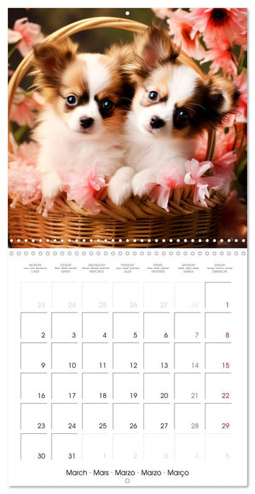 Cute PUPPY PERSONALITIES (CALVENDO Monthly Calendar 2026)