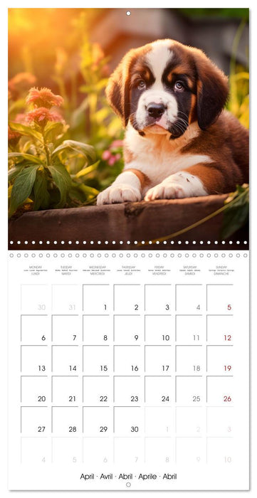 Cute PUPPY PERSONALITIES (CALVENDO Monthly Calendar 2026)
