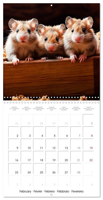 Sweet HAMSTERS (CALVENDO Monthly Calendar 2026)