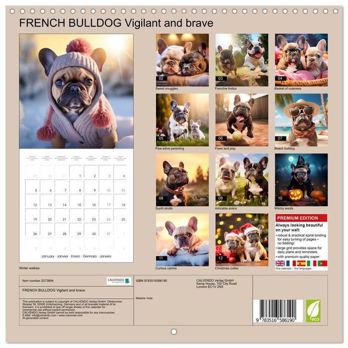 FRENCH BULLDOG Vigilant and brave (CALVENDO Monthly Calendar 2026)