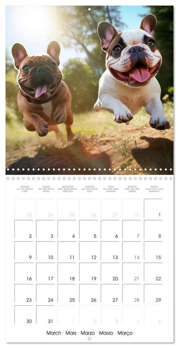 FRENCH BULLDOG Vigilant and brave (CALVENDO Monthly Calendar 2026)