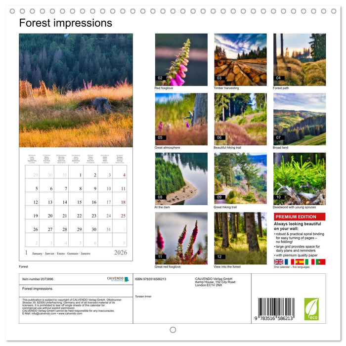 Forest impressions (CALVENDO Monthly Calendar 2026)