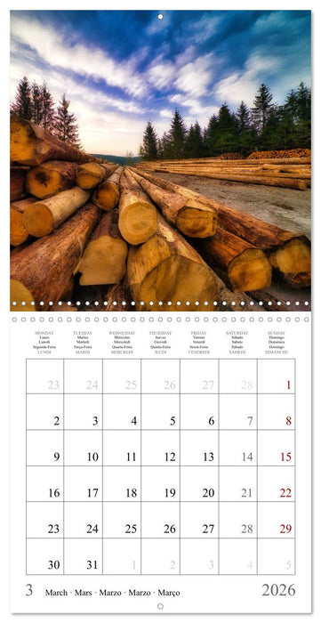 Forest impressions (CALVENDO Monthly Calendar 2026)
