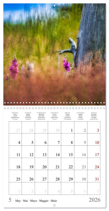 Forest impressions (CALVENDO Monthly Calendar 2026)