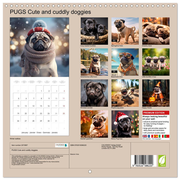 PUGS Cute and cuddly doggies (CALVENDO Monthly Calendar 2026)