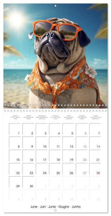 PUGS Cute and cuddly doggies (CALVENDO Monthly Calendar 2026)