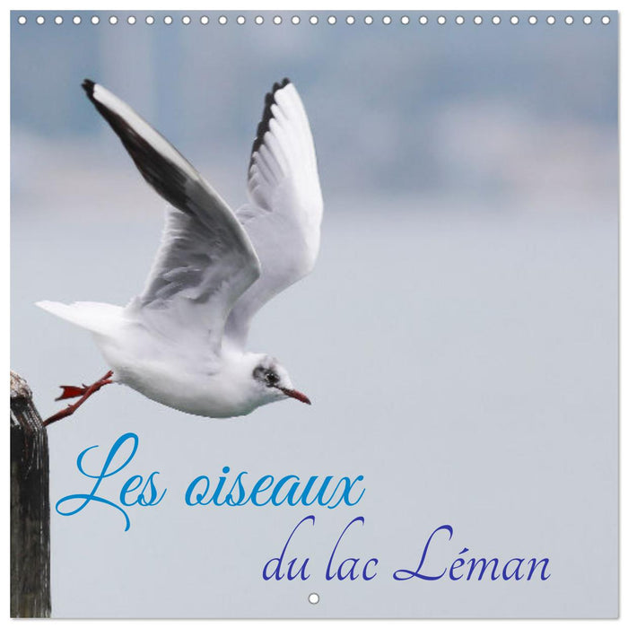 Les oiseaux du lac Léman (CALVENDO Calendrier mensuel 2026)