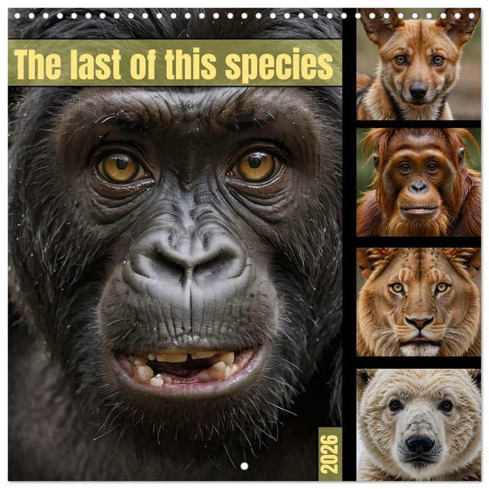 The last of this species (CALVENDO Monthly Calendar 2026)