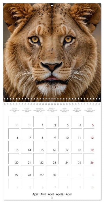 The last of this species (CALVENDO Monthly Calendar 2026)