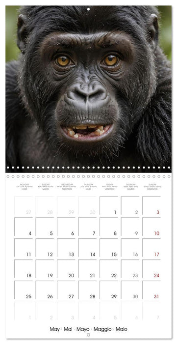 The last of this species (CALVENDO Monthly Calendar 2026)
