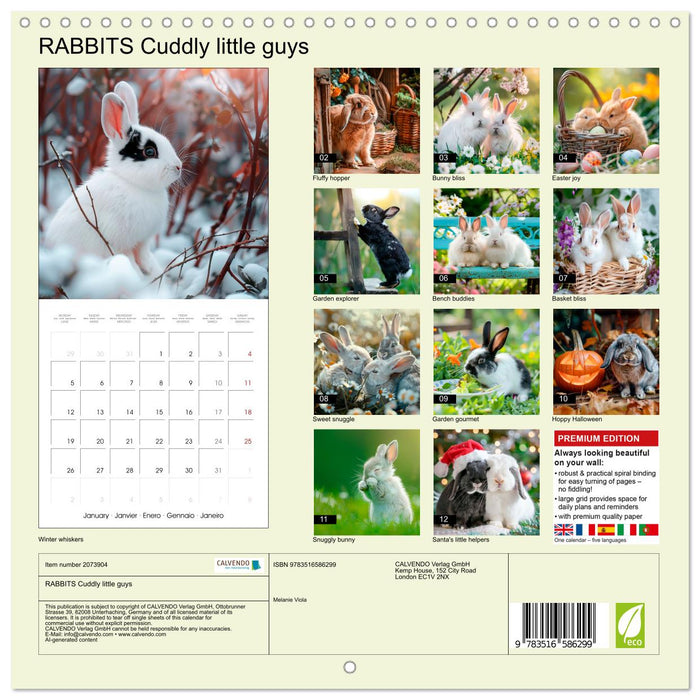 RABBITS Cuddly little guys (CALVENDO Monthly Calendar 2026)