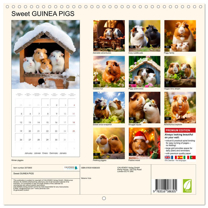Sweet GUINEA PIGS (CALVENDO Monthly Calendar 2026)