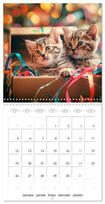 KITTEN Cuteness overload (CALVENDO Monthly Calendar 2026)