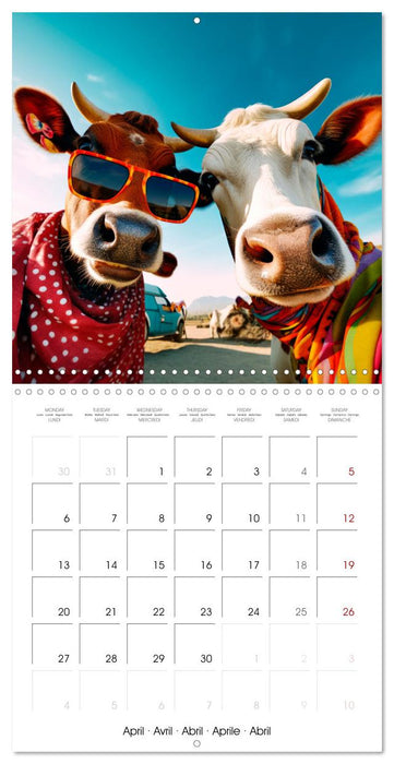 Jolly Selfies (CALVENDO Monthly Calendar 2026)