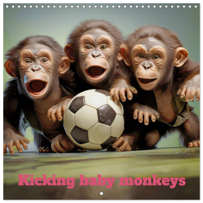 Kicking baby monkeys (CALVENDO Monthly Calendar 2026)